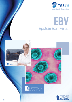 Brochure TGS EBV 2014 BASSA 01 SINGOLE ITA