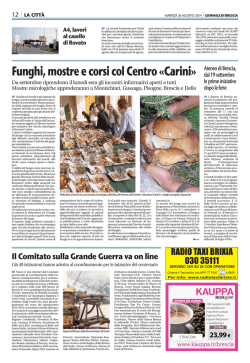 Il Comitato sulla Grande Guerra va on line