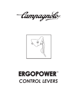 Manual en pdf