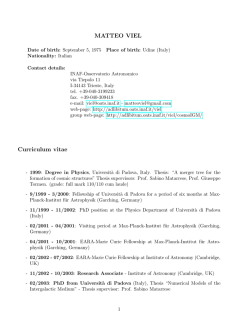 MATTEO VIEL Curriculum vitae - INAF