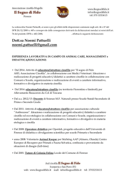 Cv Noemi Pattuelli