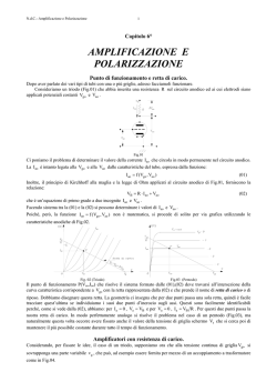 AMPLIFICAZIONE E POLARIZZAZIONE
