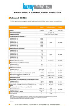 Polyfoam C-350 TGX - scheda tecnica