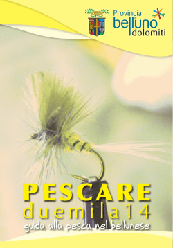 PESCARE - Provincia di Belluno