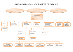 ORGANIGRAMMA ABC BASKET CREMA 010