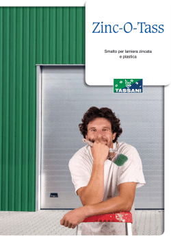 Scarica la cartella colori Zinc-O-Tass
