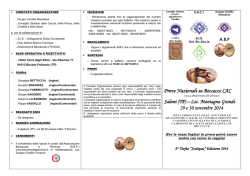 Programma Salemi 2014