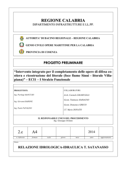 2c_-_relaz_idr_satanasso