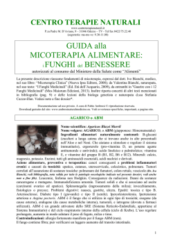 approfondimento Pdf
