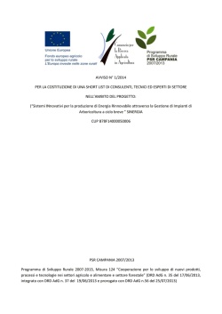 avviso n&deg; 1/2014 per la costituzione di una short list di consulenti
