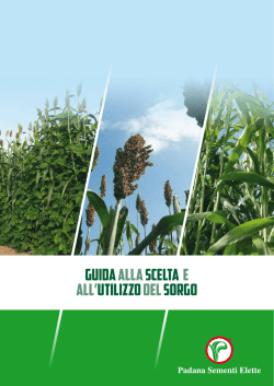 Guida ai sorghi - Padana Sementi Elette
