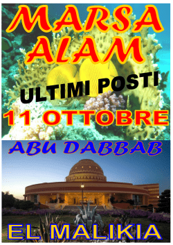 La quota non comprende