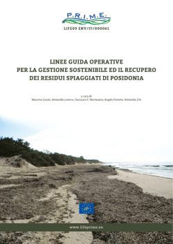 Scarica le Linee Guida Operative per la Gestione