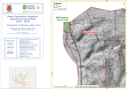 AFV Montopoli - Provincia di Rieti