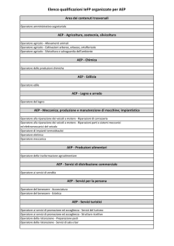Elenco qualificazioni IeFP organizzate per AEP