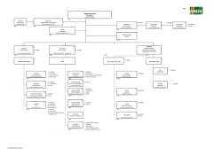 Organigramma