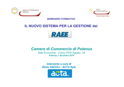 3.12.2010 &ndash; Seminario CCIA su RAEE &ndash; PowerPoint