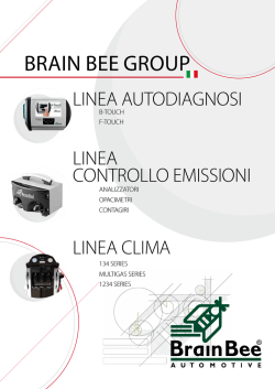 BRAIN BEE GROUP