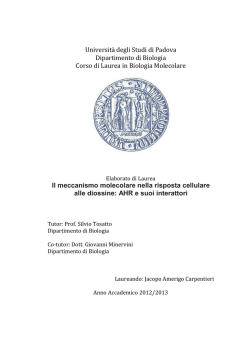 Documento PDF - Universit&agrave; degli Studi di Padova
