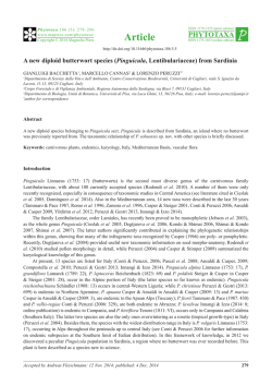 Preview - Magnolia Press