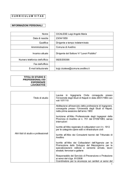 Ing. Luigi Angelo Maria Cicalese
