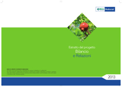 Bilancio economico 2013