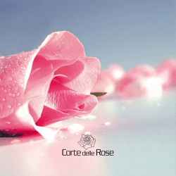 Untitled - Borgo Molino