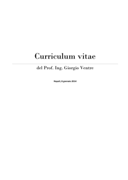 Curriculum vitae