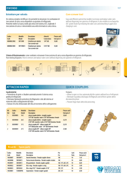 EW3900 ATTACCHI RAPIDI QUICK COUPLERS
