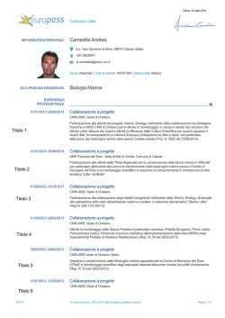 Curriculum