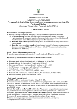 Promemoria ZRSP - CPM Fly