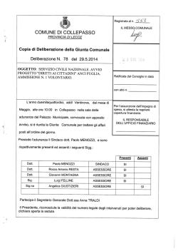 tipo: application/pdf , dimensione 209973 KB