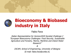 Bioeconomy - Cluster SPRING