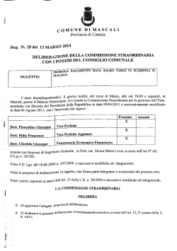 Delibera N&deg; 28 Commissione Straordinaria con i poteri del Consiglio