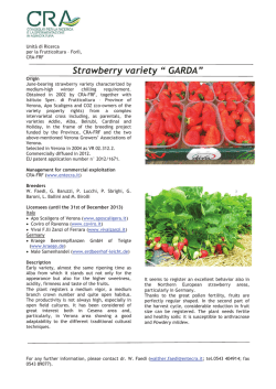 Strawberry variety “ GARDA”