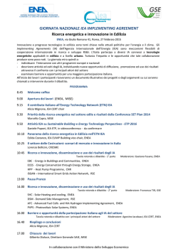 programma provvisorio
