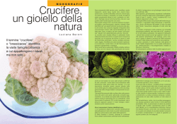 Crucifere - Nutrirsi