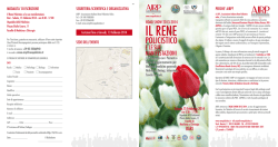 IL RENE - Mec Congress
