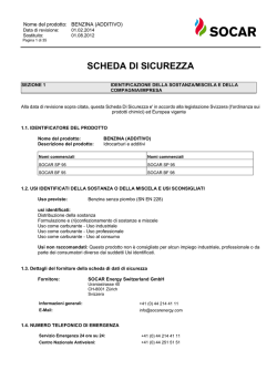 Scheda di sicurezza Benzina