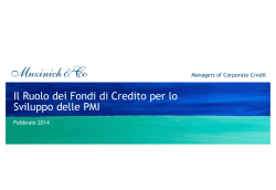 Il Ruolo dei Fondi di Credito per lo Sviluppo delle PMI