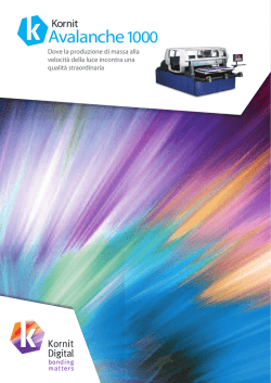 Brevi specifiche Avalanche 1000
