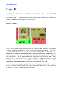 Relazione PDF (1.37Mb)