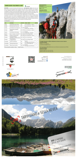 TARVISIANO e SELLA NEVEA