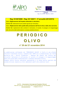 PERIODICO OLIVO n.28 del 21 novembre 201[...]