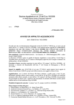 Stazione Appaltante ex art. 33 del D.lvo 163/2006