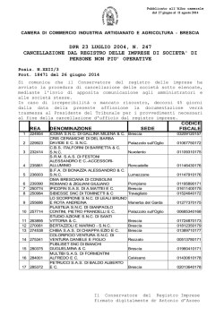 dpr 23 luglio 2004, n. 247 cancellazione dal registro delle imprese