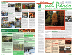 Notiziario Autunno