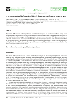 Preview - Magnolia Press