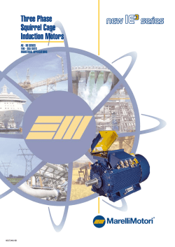 Three Phase Squirrel Cage Induction Motors new