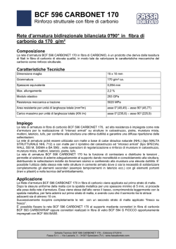 BCF 596 CARBONET 170